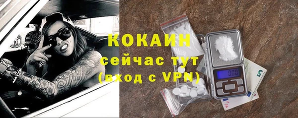 Альфа ПВП Пересвет