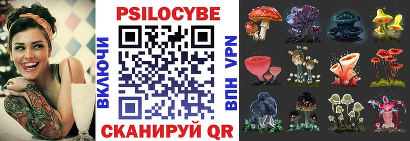 блэк спрут рабочий сайт  Луза  Псилоцибиновые грибы Cubensis 